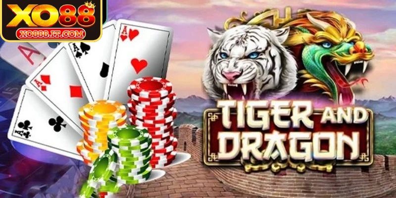 Chia sẻ từ chuyên gia về mẹo chơi Rồng Hổ
